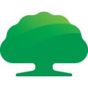 Cathay Financial Holding transparent PNG icon