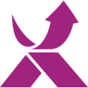 Exclusive Networks transparent PNG icon