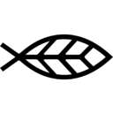 Arnarlax (Icelandic Salmon) transparent PNG icon