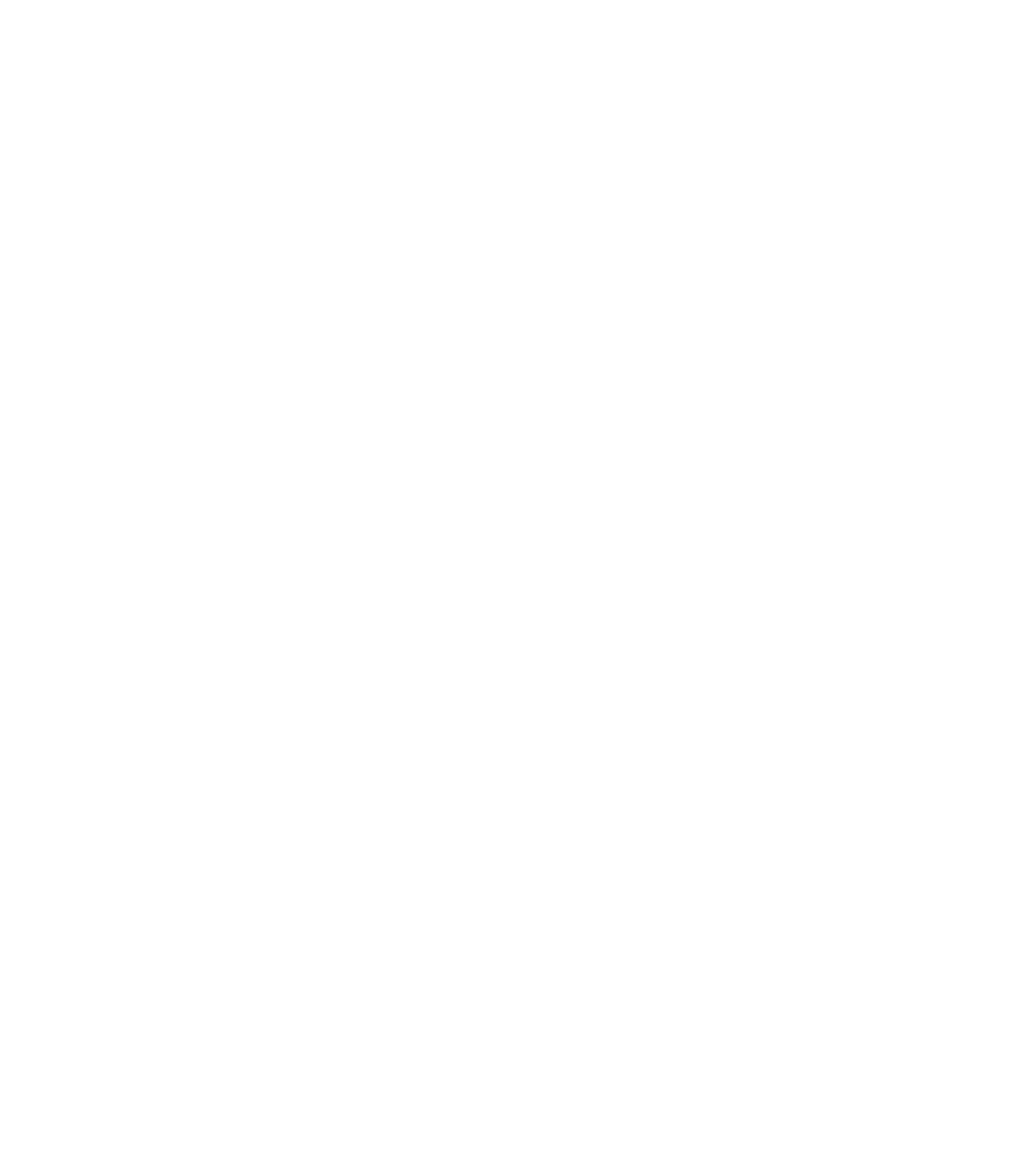 New Hope Liuhe Logo groß für dunkle Hintergründe (transparentes PNG)