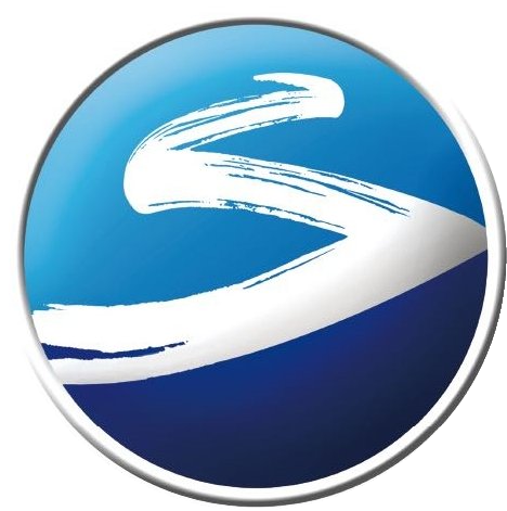 YANGHE logo (transparent PNG)