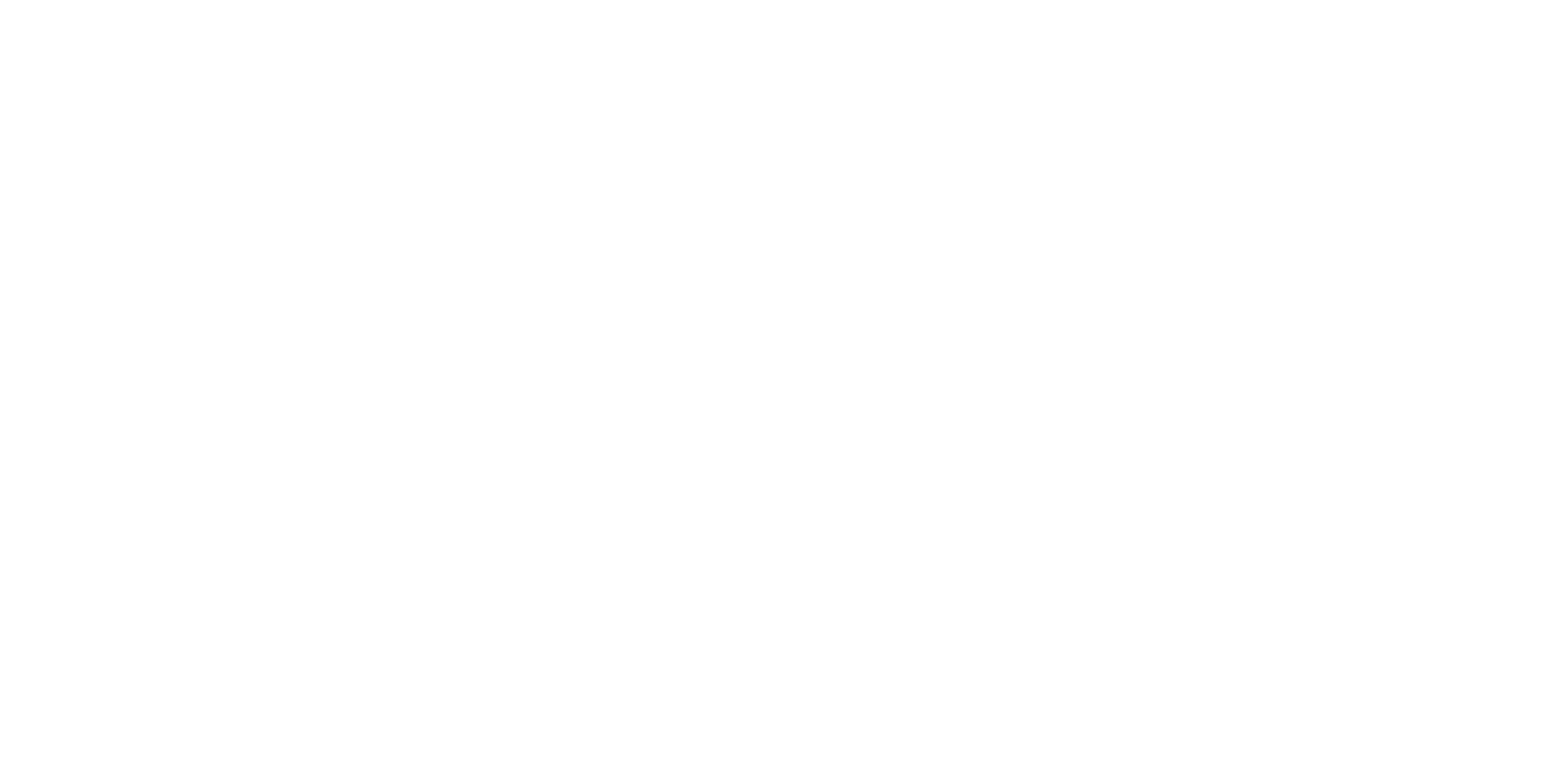 Nexen Tire Corporation logo pour fonds sombres (PNG transparent)