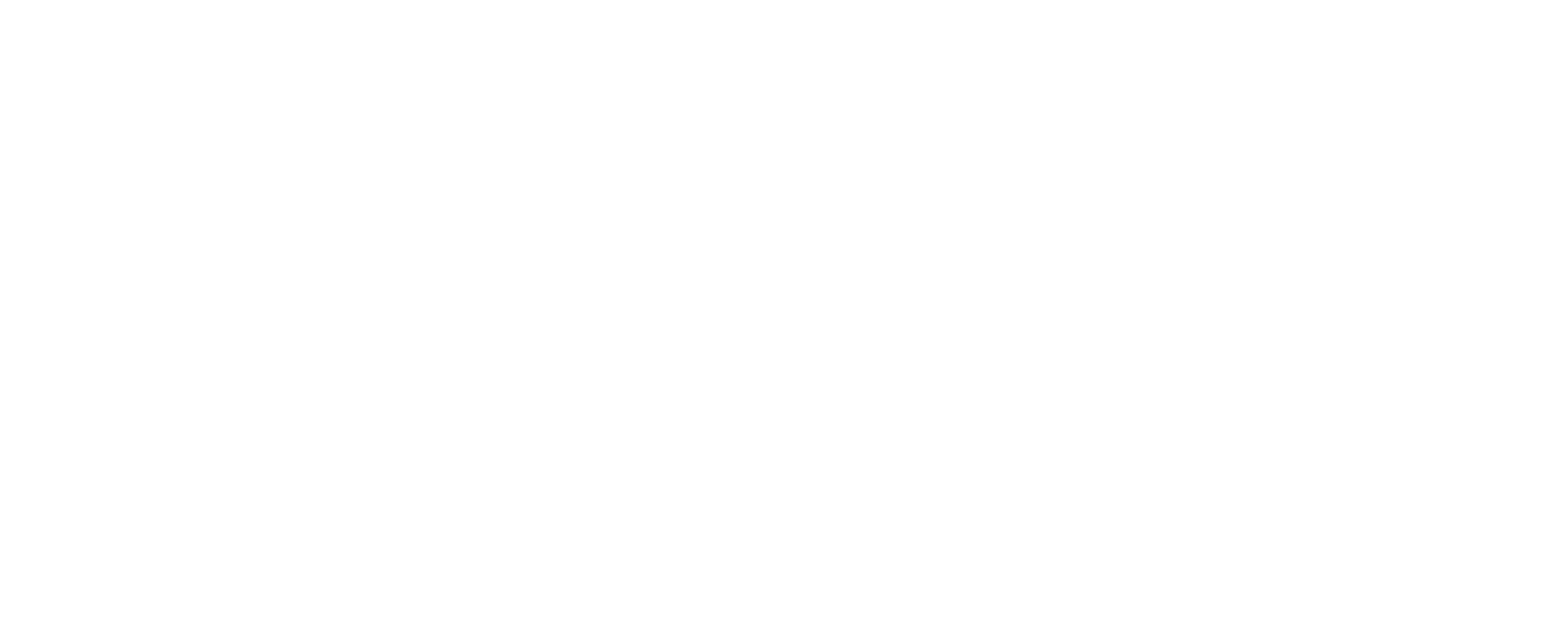 Nexen Tire Corporation logo grand pour les fonds sombres (PNG transparent)
