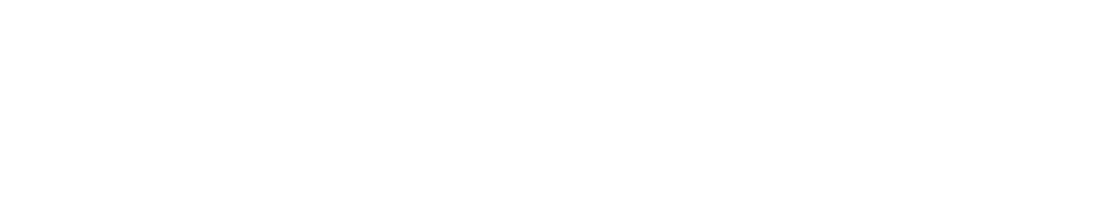 Naver logo fulle size on a dark background (transparent PNG)