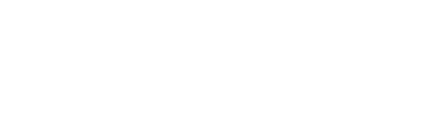 Digital Domain Logo groß für dunkle Hintergründe (transparentes PNG)