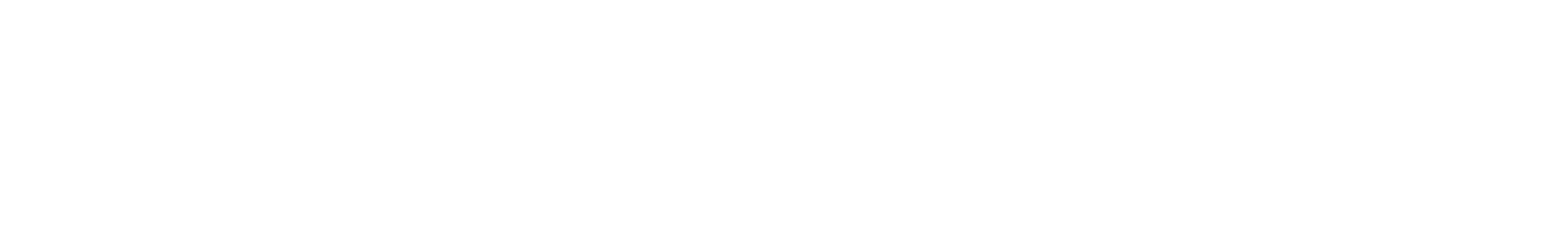 Sanil Electric Logo groß für dunkle Hintergründe (transparentes PNG)