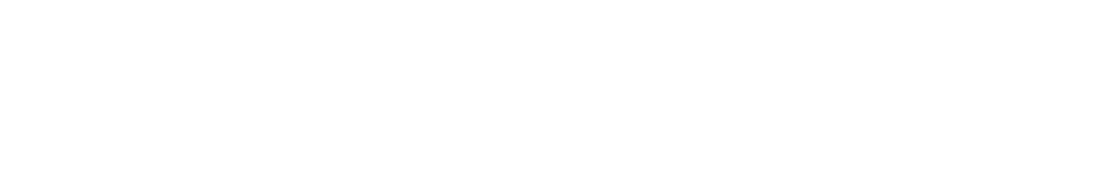 Zhongsheng Group
 logo fulle size on a dark background (transparent PNG)
