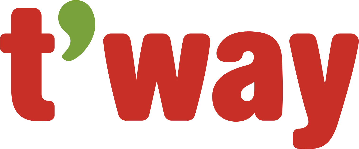 T’way Air
 logo large (transparent PNG)