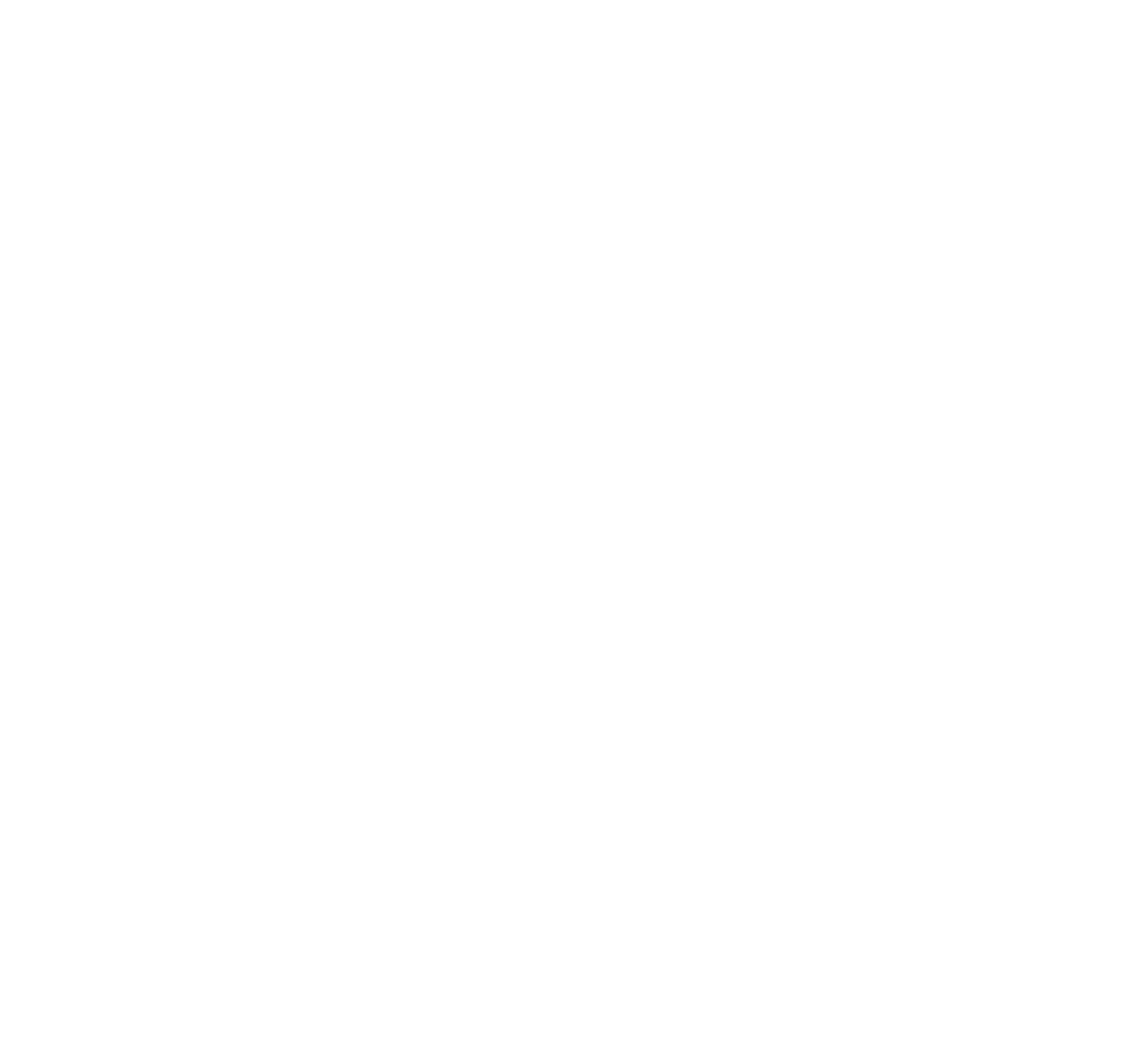 Feiyu Technology International Company logo on a dark background (transparent PNG)