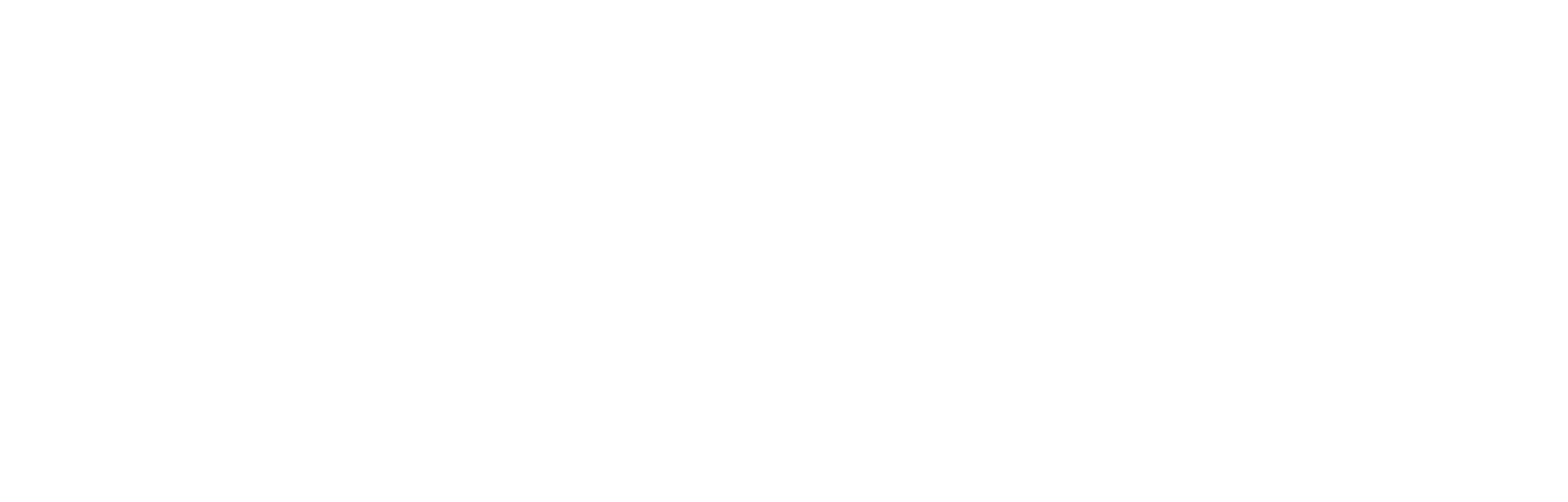 Feiyu Technology International Company logo fulle size on a dark background (transparent PNG)