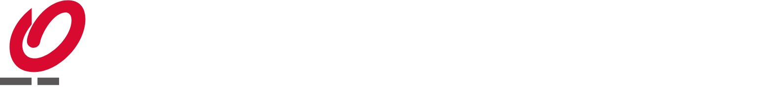 Daito Trust Construction
 Logo groß für dunkle Hintergründe (transparentes PNG)