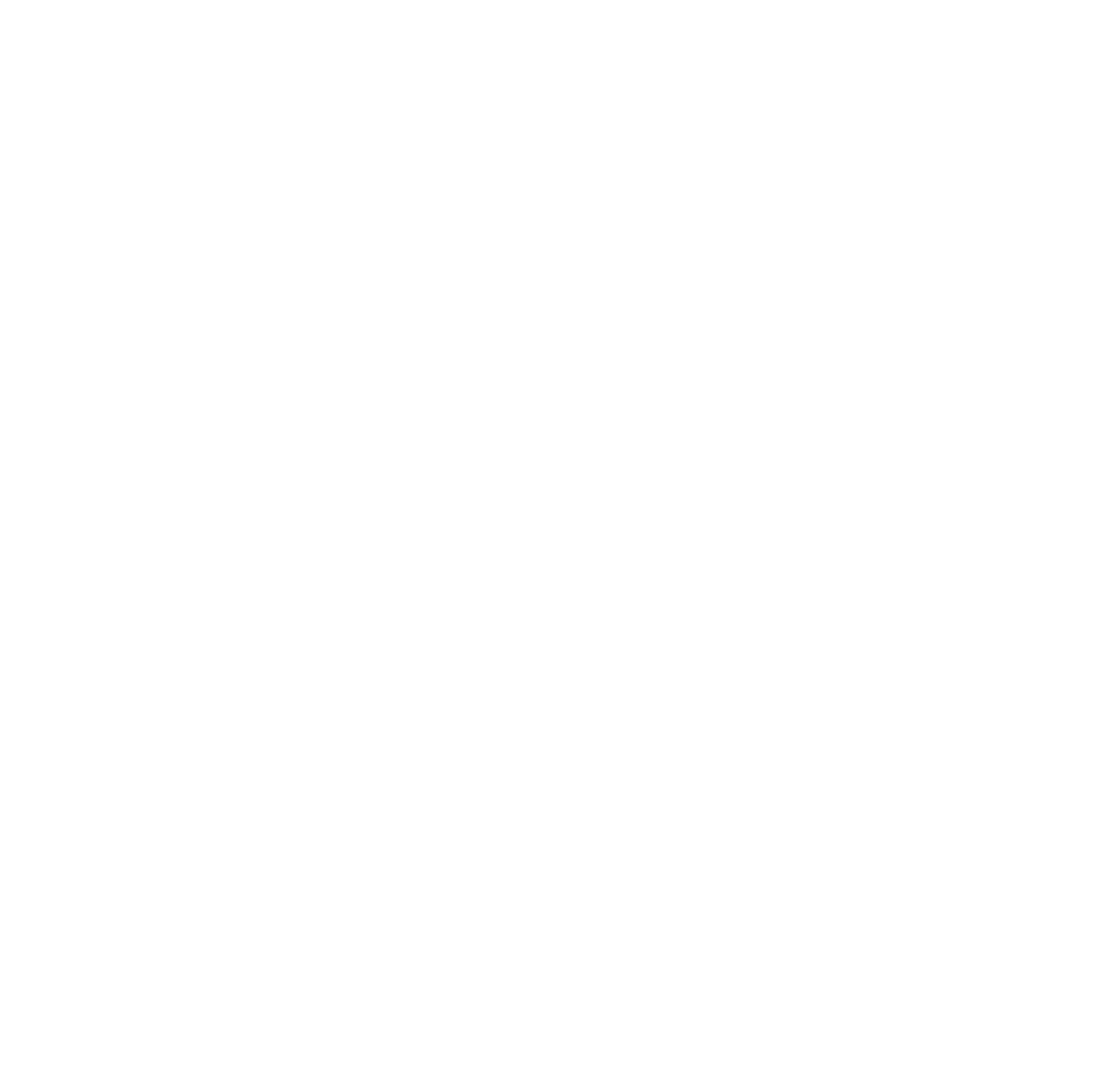 Sunny Optical
 Logo für dunkle Hintergründe (transparentes PNG)