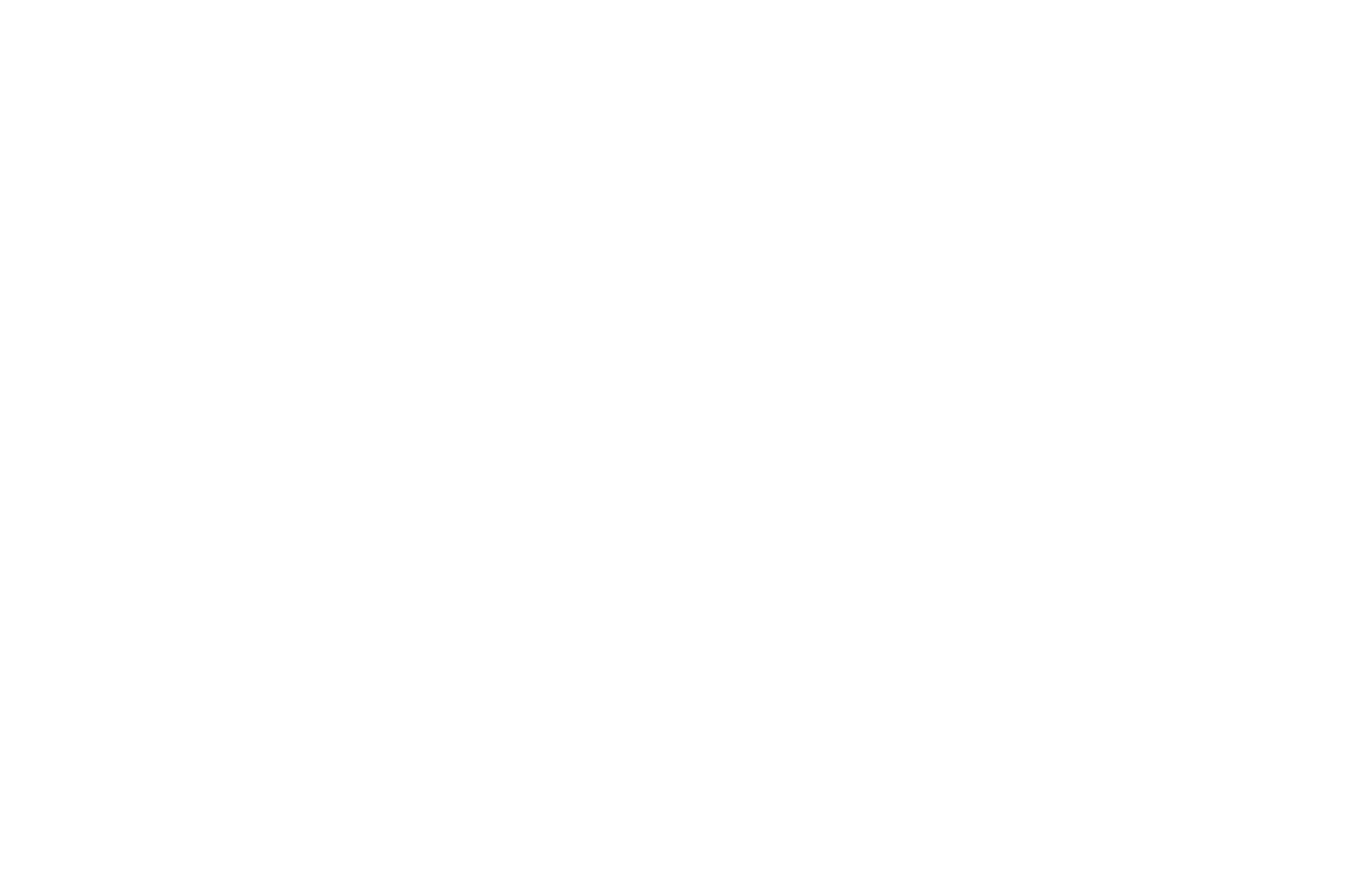 Nanya Technology
 logo pour fonds sombres (PNG transparent)
