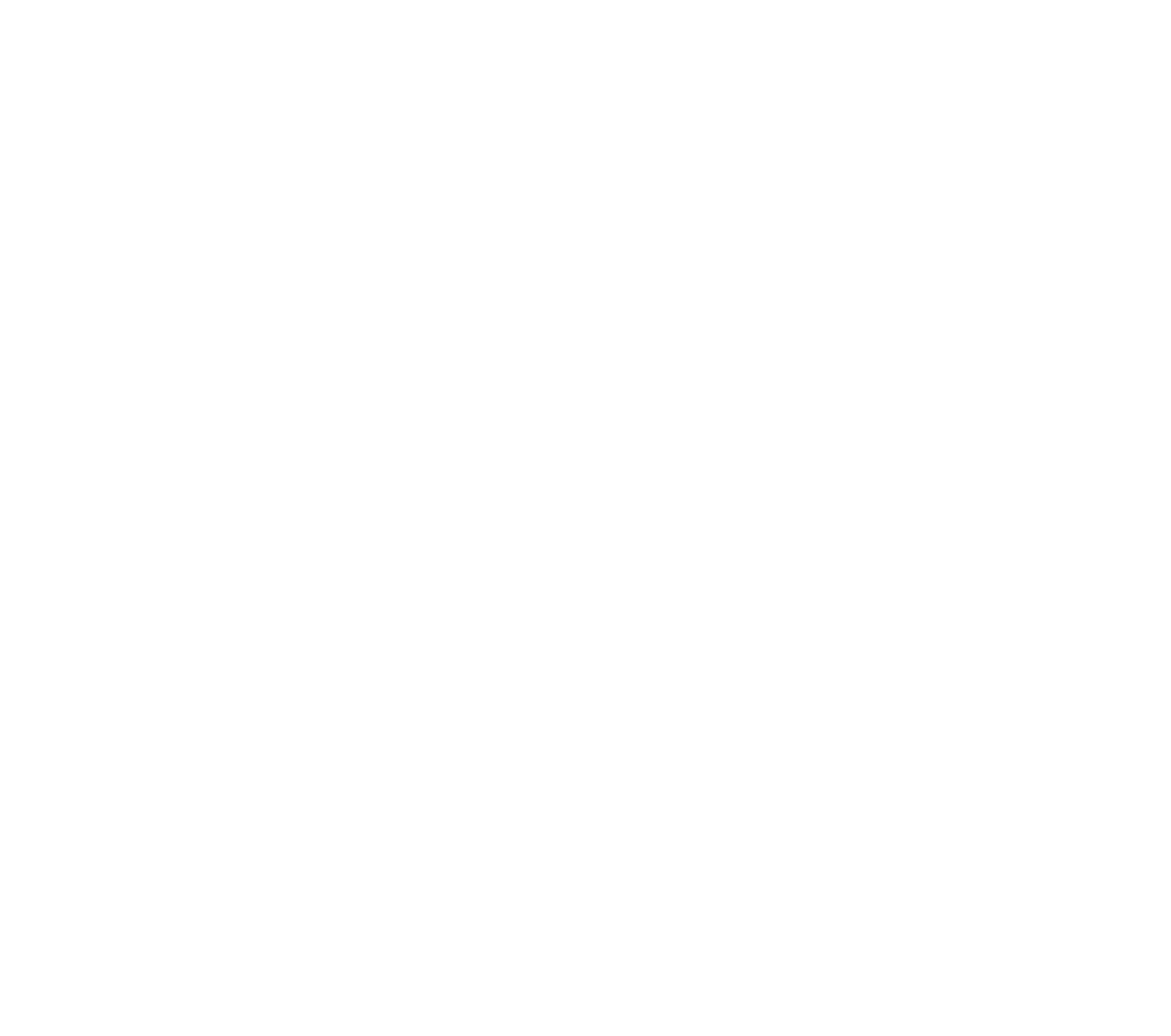 Nanya Technology
 logo grand pour les fonds sombres (PNG transparent)