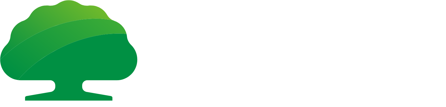 Cathay Real Estate Development Logo groß für dunkle Hintergründe (transparentes PNG)