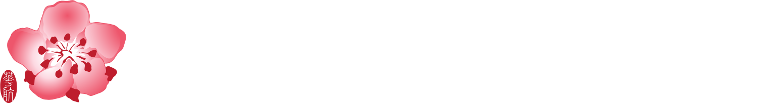 China Airlines
 Logo groß für dunkle Hintergründe (transparentes PNG)