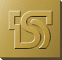 Taishin Financial Holdings
 logo (transparent PNG)