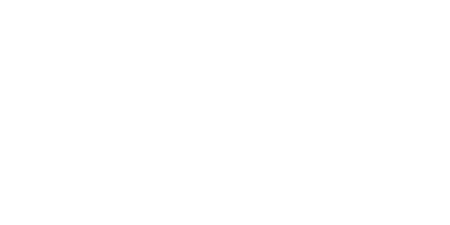 Nissin Foods
 Logo für dunkle Hintergründe (transparentes PNG)