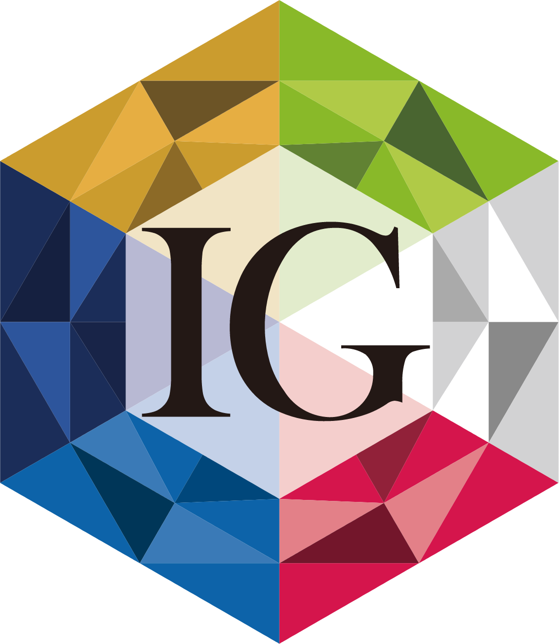 Iida Group Logo (transparentes PNG)