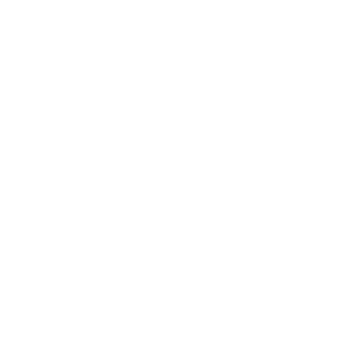 TORIDOLL Holdings Corporation logo on a dark background (transparent PNG)