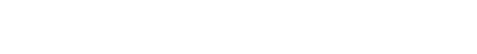 TORIDOLL Holdings Corporation logo fulle size on a dark background (transparent PNG)