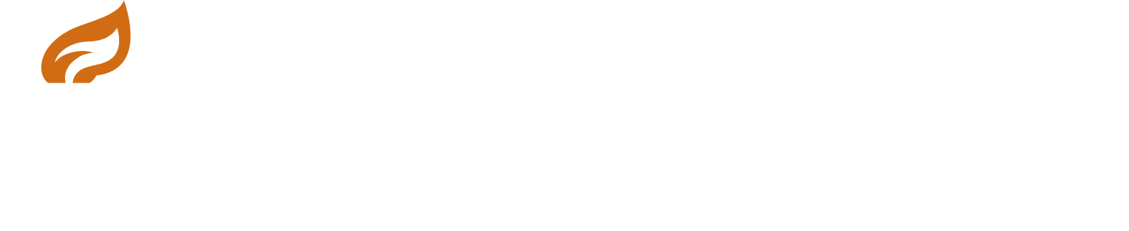 Silicon Studio logo fulle size on a dark background (transparent PNG)