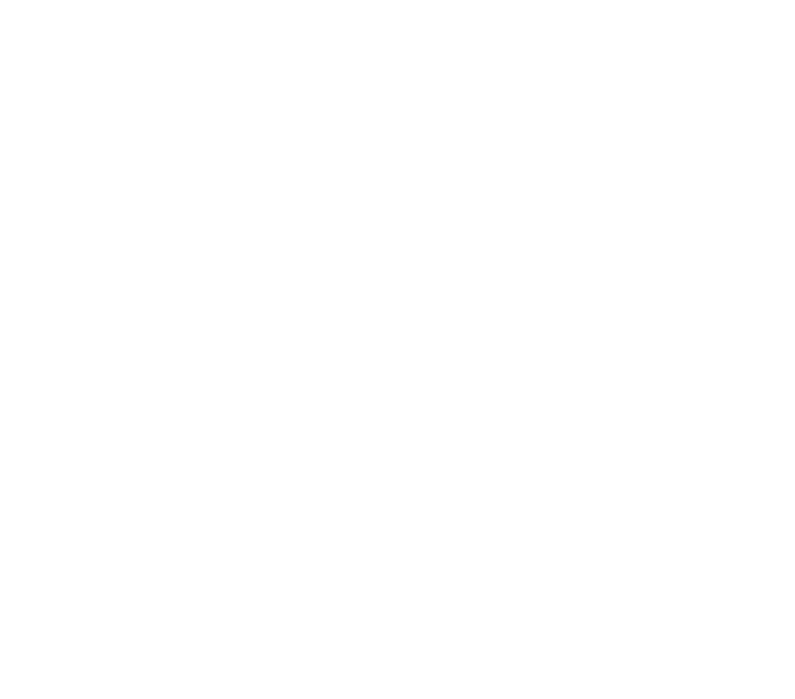 Sinad Holding Company logo on a dark background (transparent PNG)
