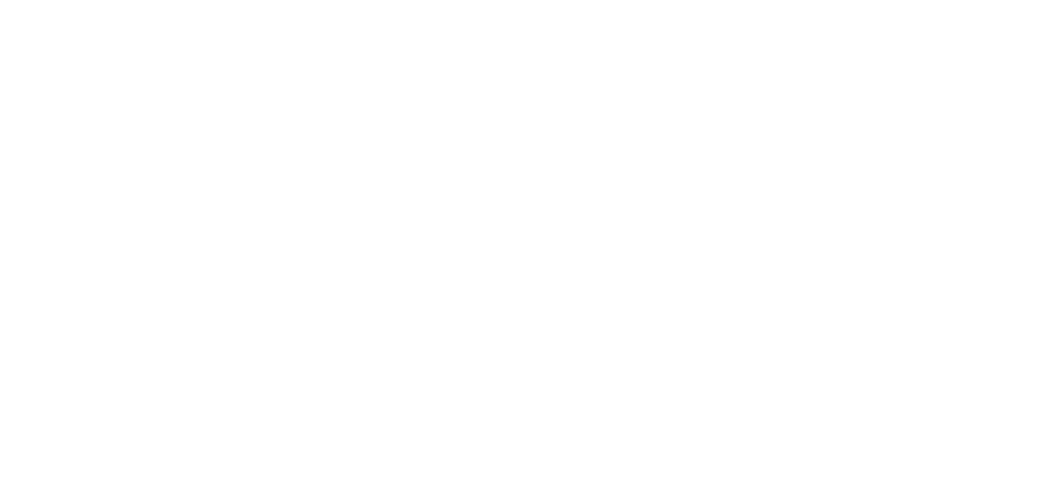 Sinad Holding Company logo fulle size on a dark background (transparent PNG)