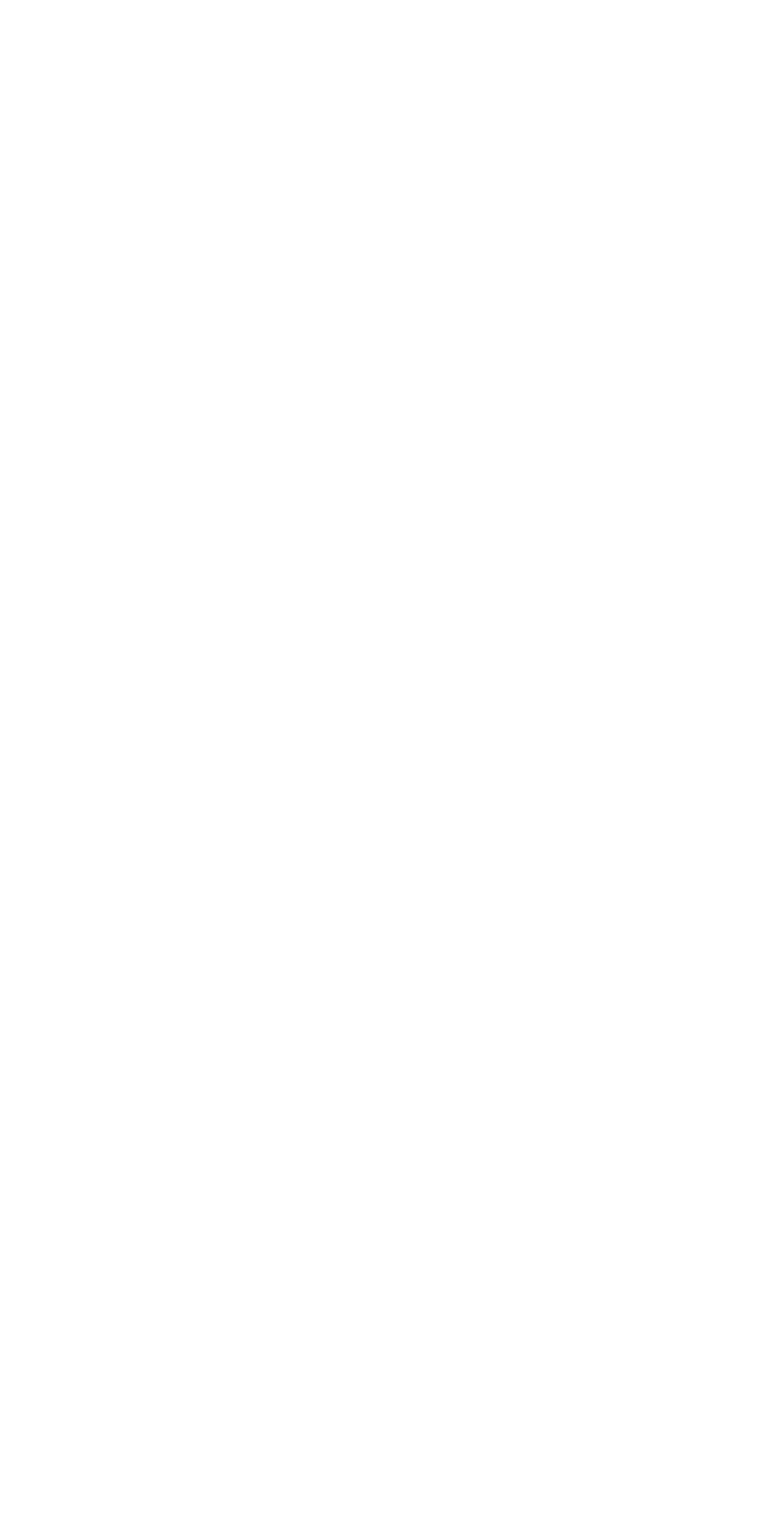 Flynas Company logo on a dark background (transparent PNG)
