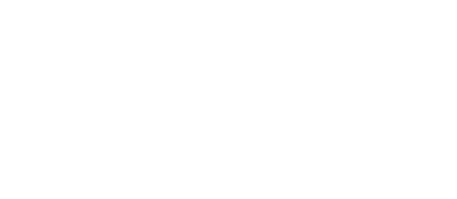 Nippon Kayaku logo fulle size on a dark background (transparent PNG)