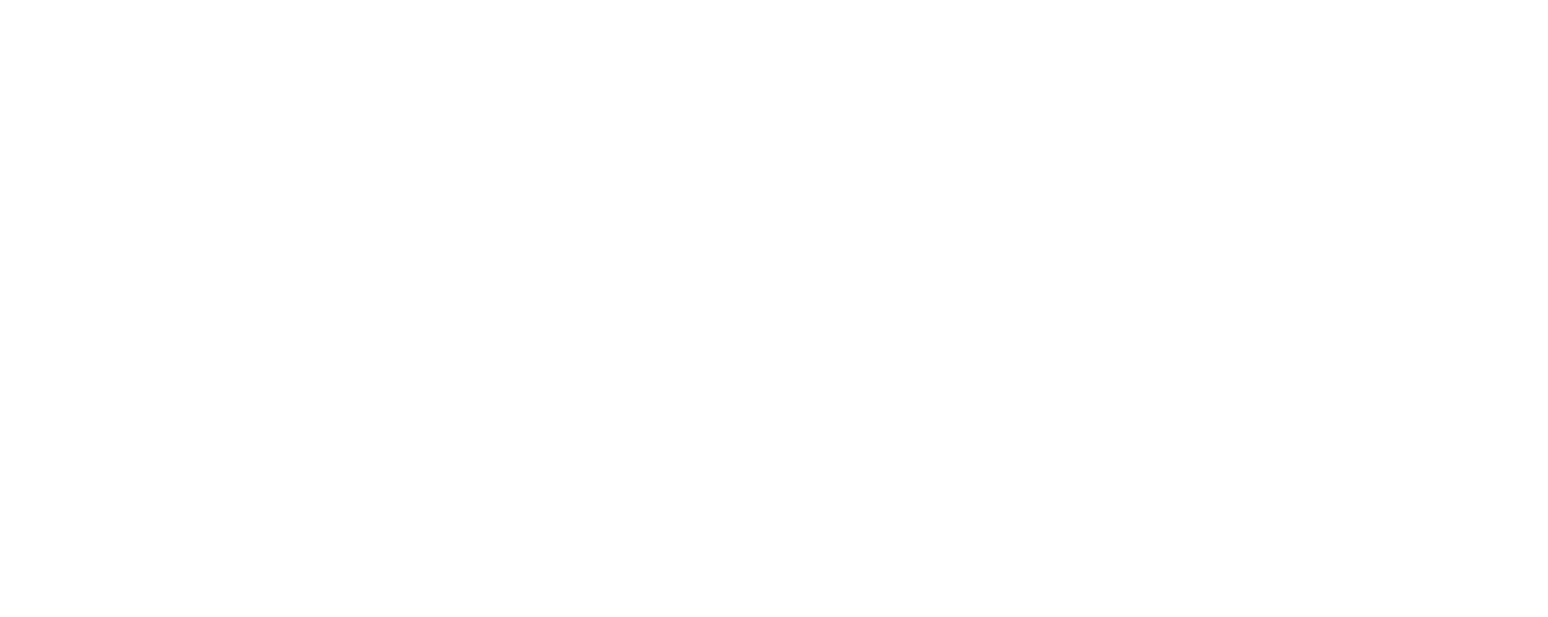 Nippon Paint
 logo pour fonds sombres (PNG transparent)
