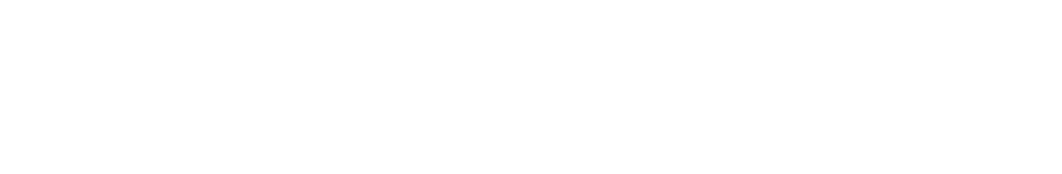 Shiseido logo fulle size on a dark background (transparent PNG)