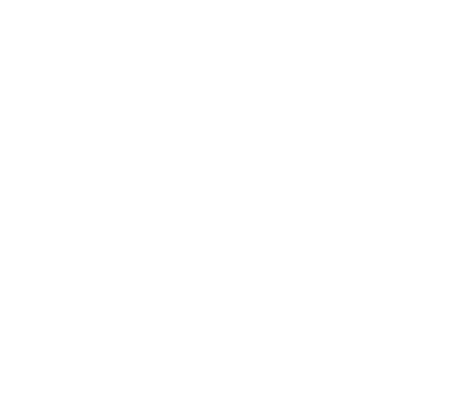 Niterra Logo für dunkle Hintergründe (transparentes PNG)