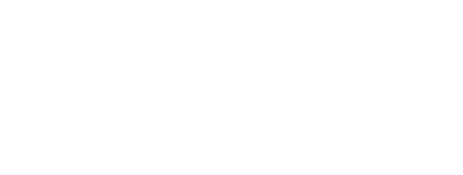 Niterra Logo groß für dunkle Hintergründe (transparentes PNG)
