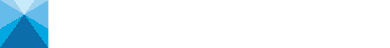 Nippon Steel
 logo fulle size on a dark background (transparent PNG)