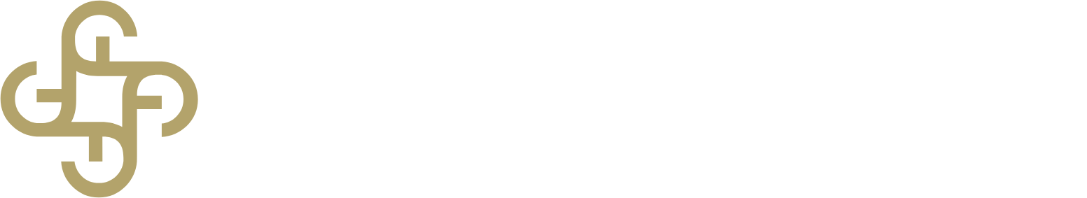 Chailease Holding logo fulle size on a dark background (transparent PNG)