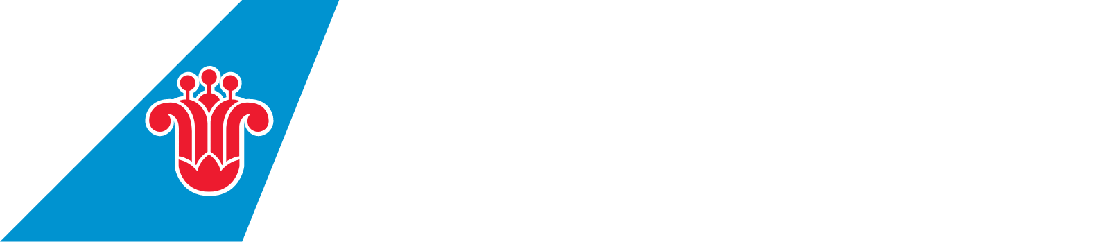 China Southern Airlines
 logo fulle size on a dark background (transparent PNG)