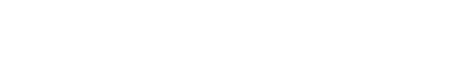 New China Life Insurance
 logo fulle size on a dark background (transparent PNG)