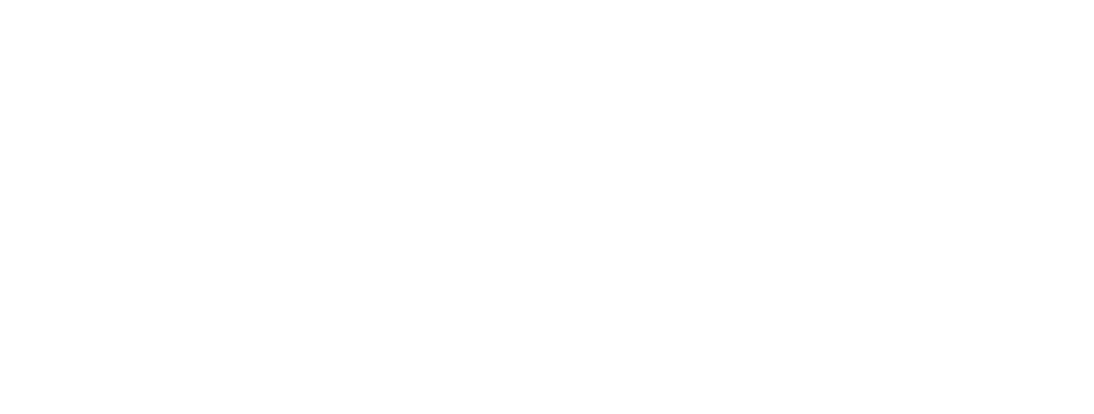Brother Industries Logo groß für dunkle Hintergründe (transparentes PNG)