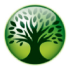 Kyushu Financial Group logo (transparent PNG)