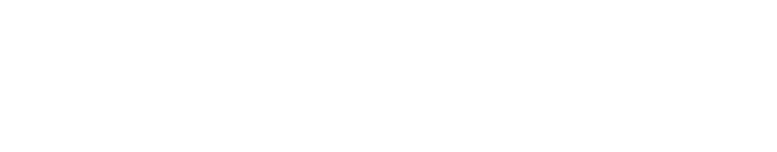 Net One Systems logo fulle size on a dark background (transparent PNG)