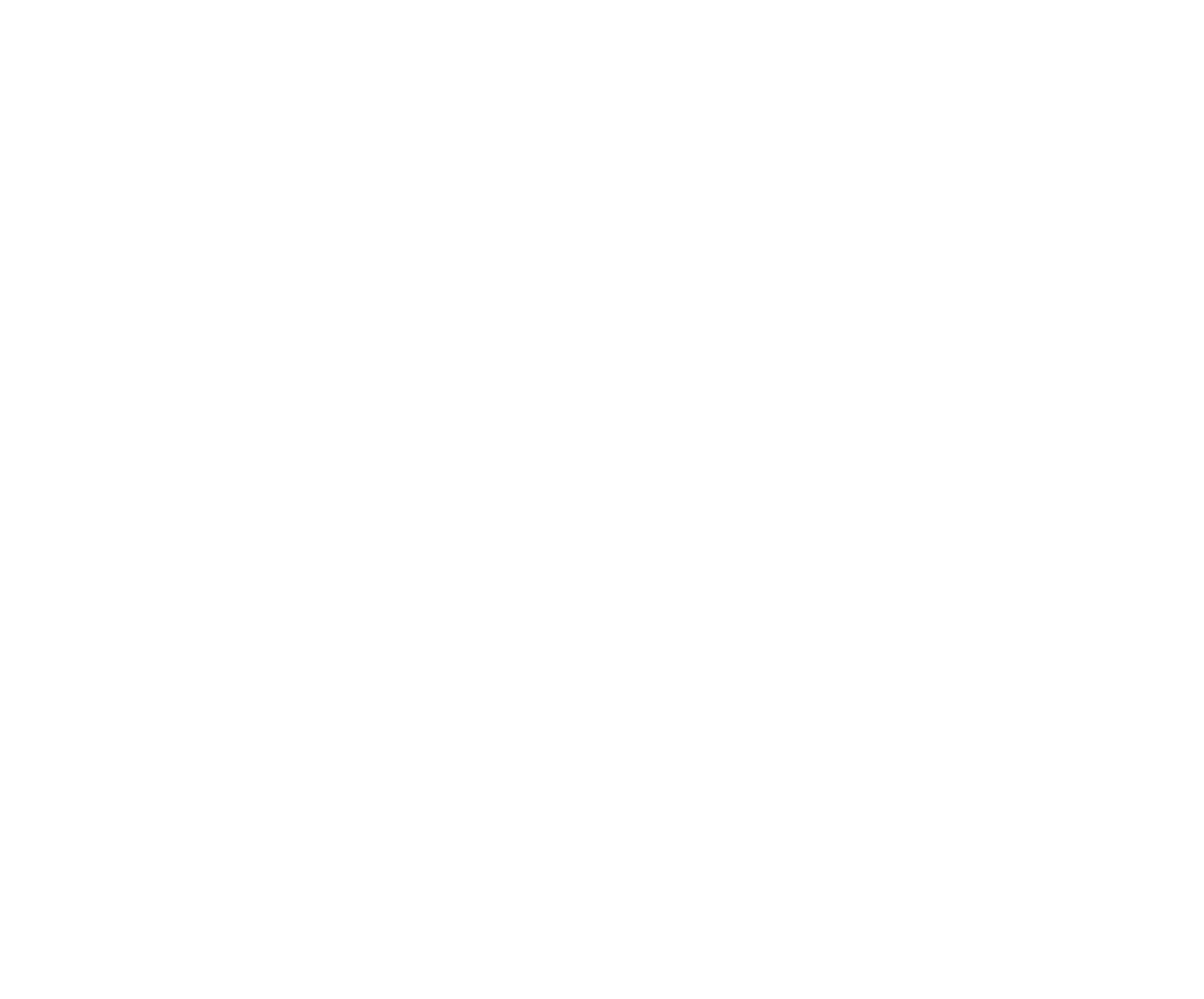 NIKKON Holdings logo on a dark background (transparent PNG)