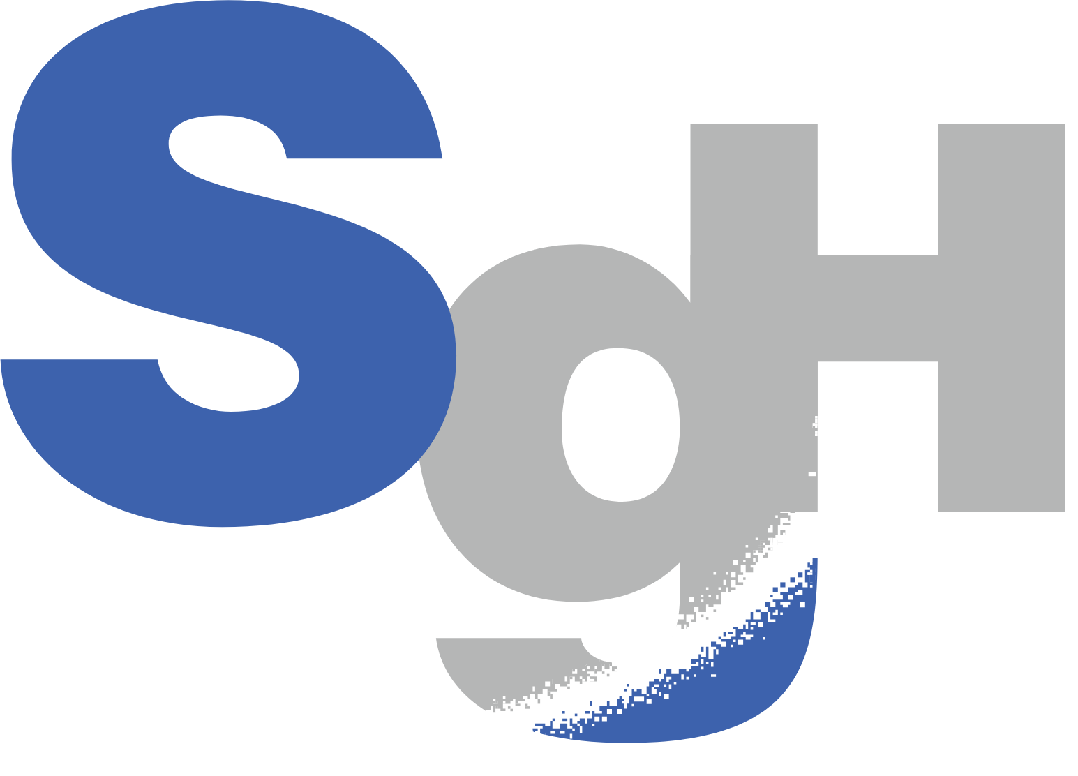 SG Holdings Logo (transparentes PNG)