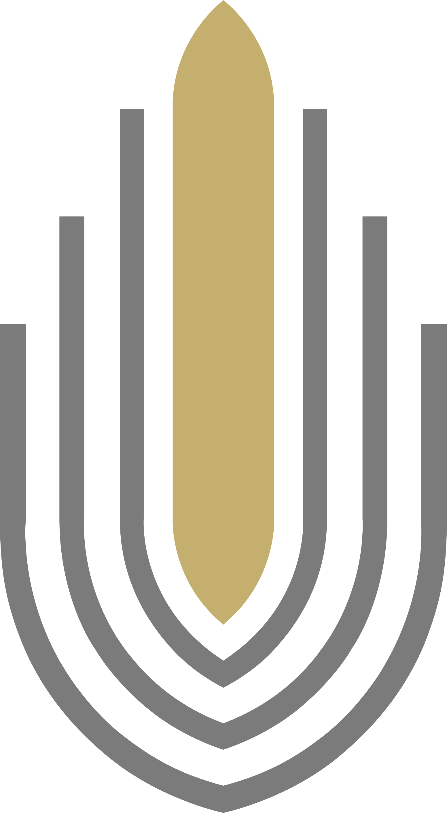 Ladun Investment Company logo (PNG transparent)