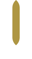 Ladun Investment Company logo on a dark background (transparent PNG)