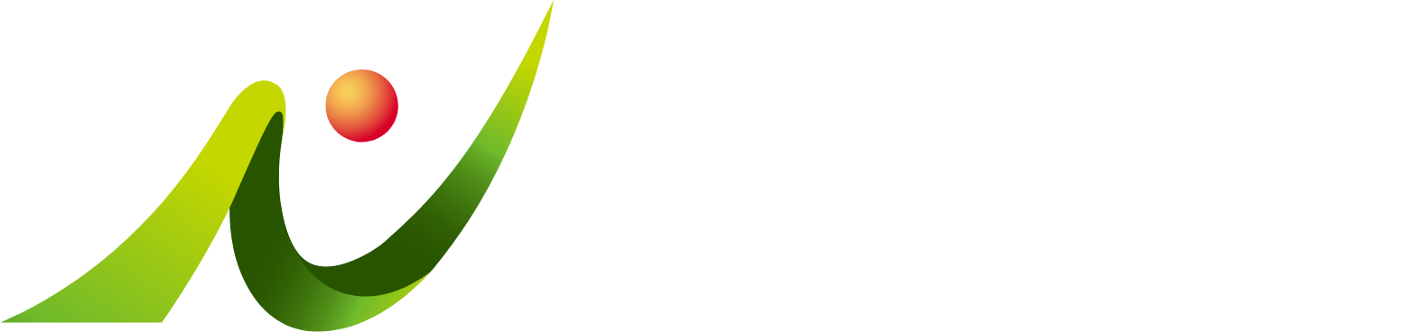 NSD Co., Ltd. logo fulle size on a dark background (transparent PNG)