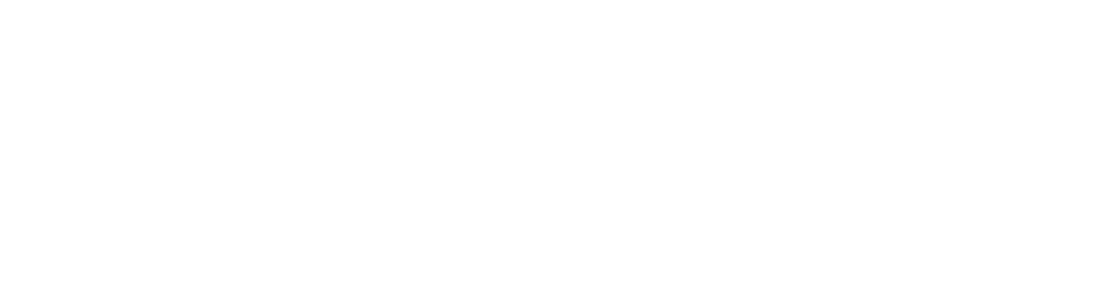 Accelya
 logo grand pour les fonds sombres (PNG transparent)