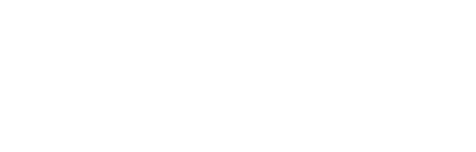 Ahold Delhaize logo fulle size on a dark background (transparent PNG)