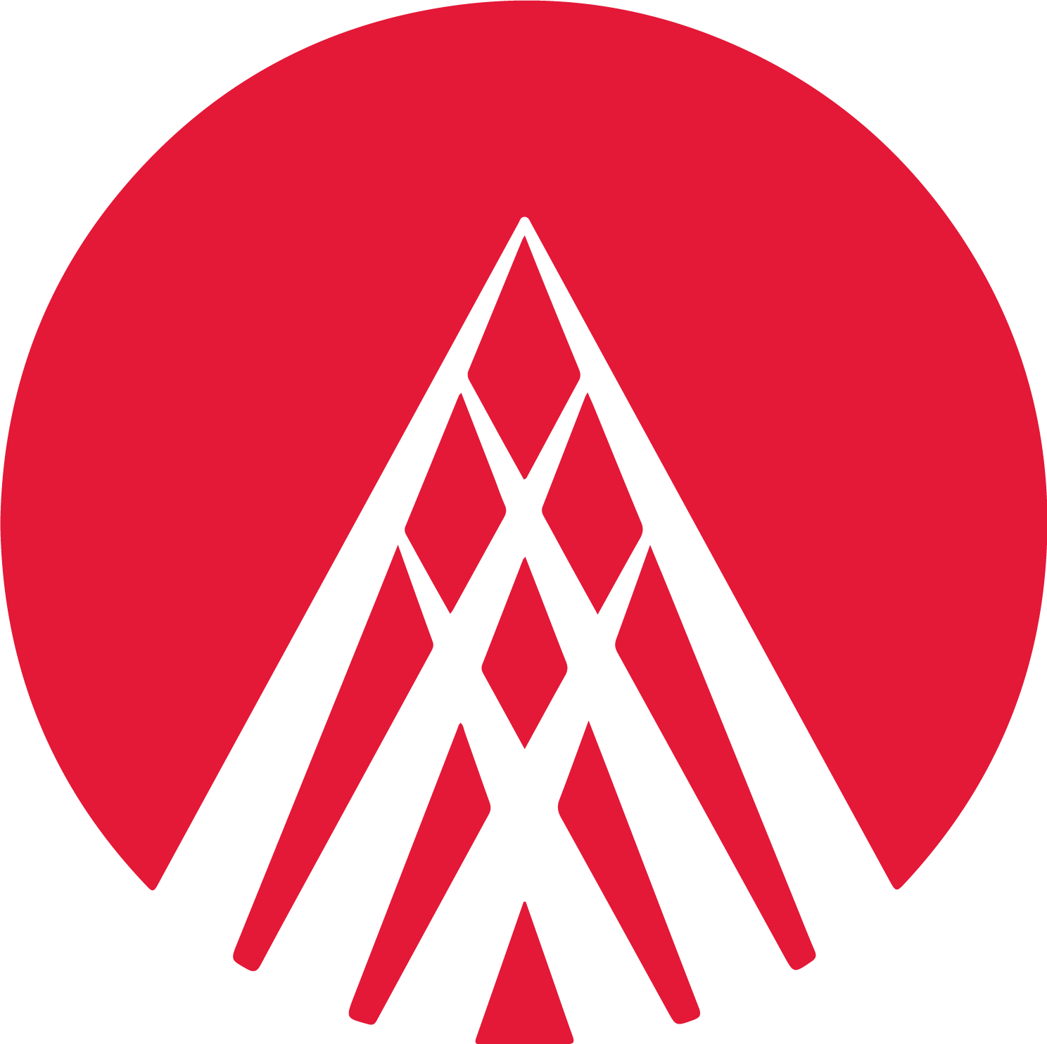 Alliance Data
 logo (transparent PNG)