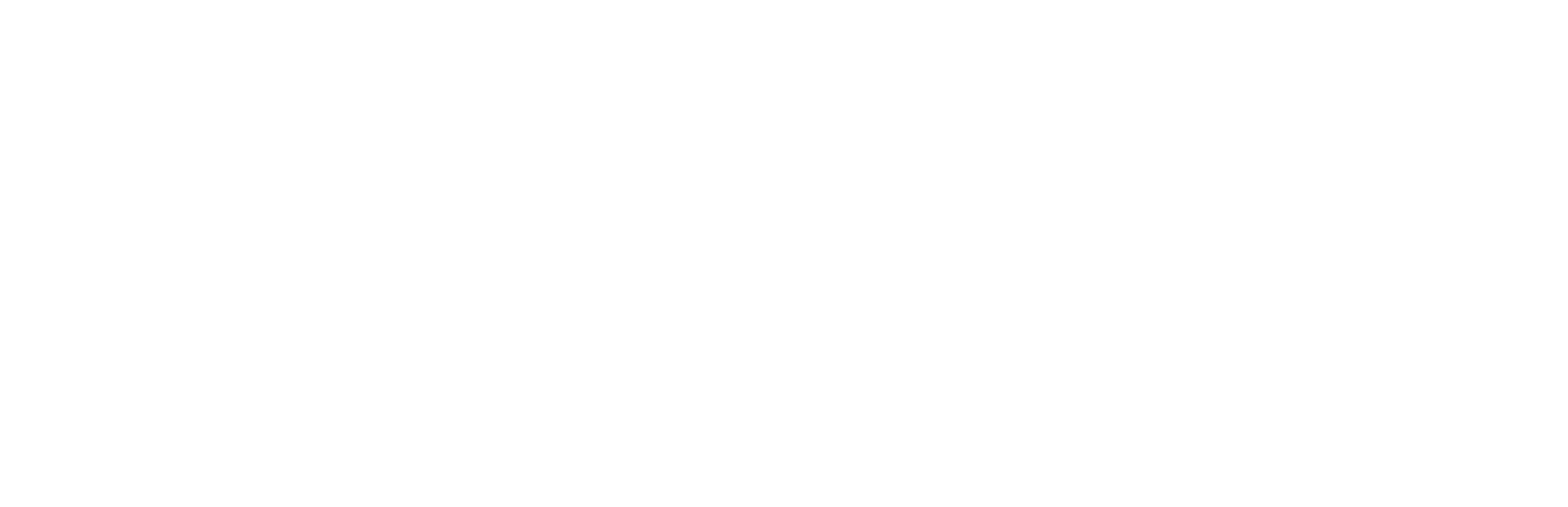 Adyen logo fulle size on a dark background (transparent PNG)